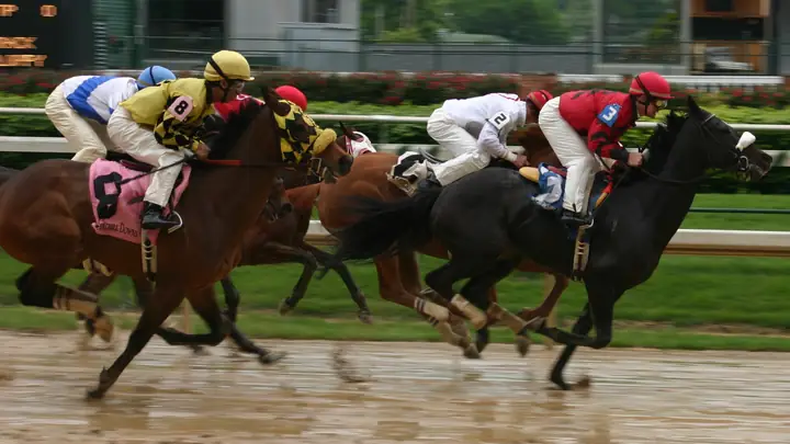 Horse racing, Churchill Downs
